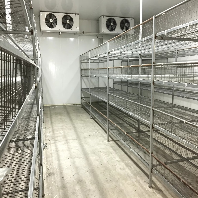 Hydroponic Container Farm with - Urban Farming Projects 评论和价格