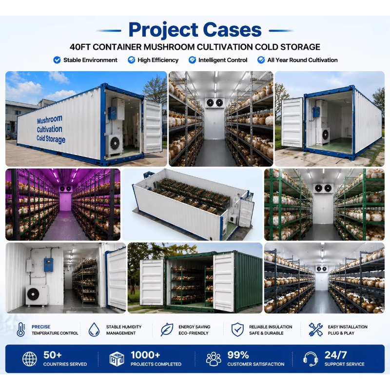 Hydroponic Container Farm with - Urban Farming Projects 评论和价格